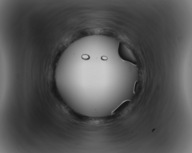 X0000083060760200703022133