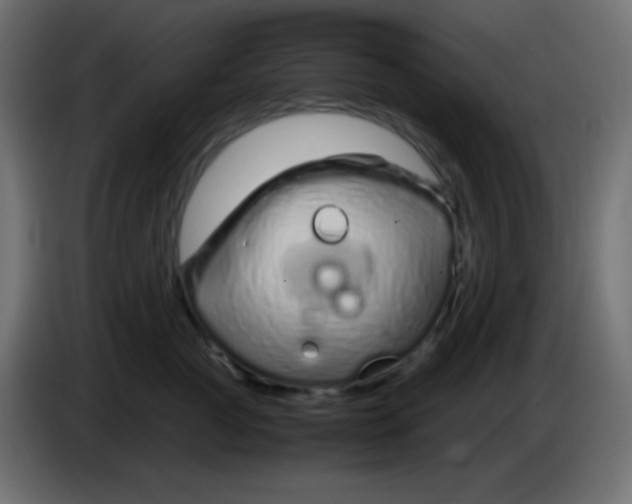 X0000083060761200703022133