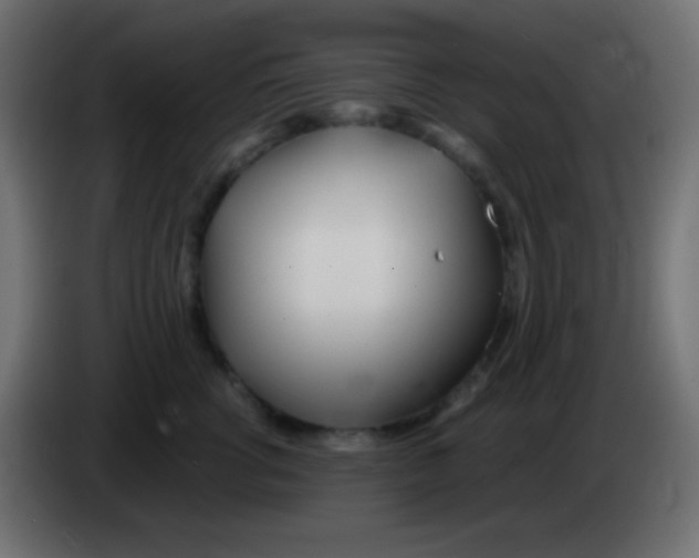 X0000083060762200703022133