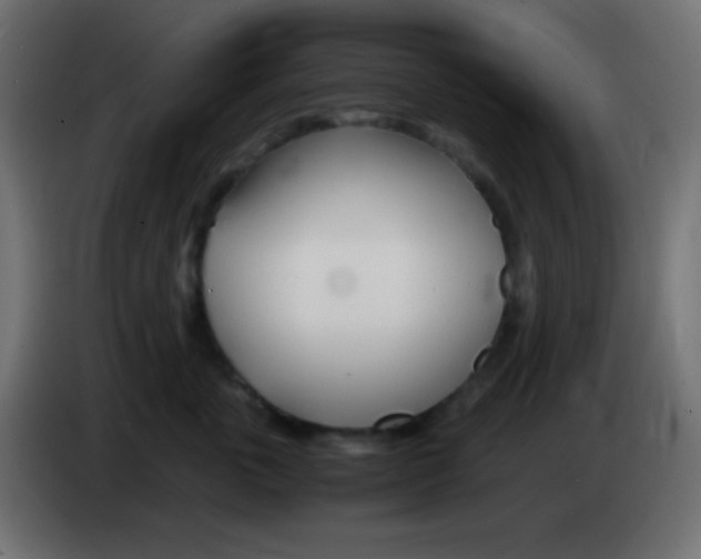 X0000083060763200703022133