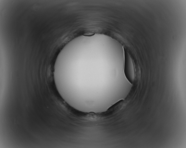 X0000083060764200703022133