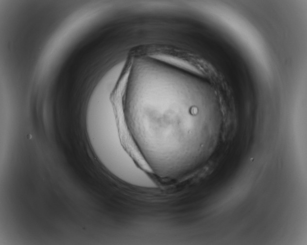 X0000083060765200703022133