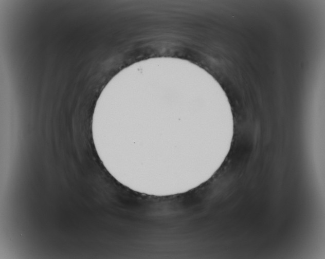 X0000083060769200703022133