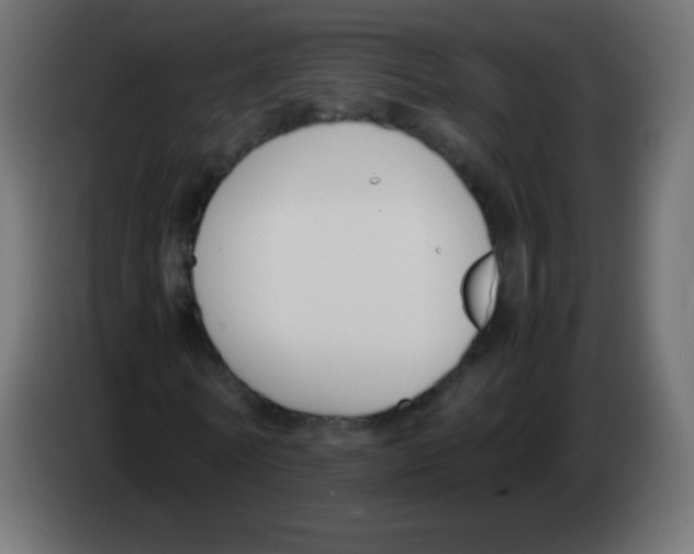 X0000083060770200703022133