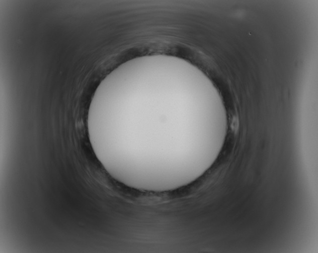 X0000083060771200703022133