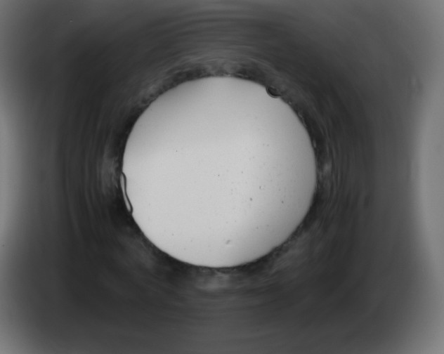 X0000083060772200703022133