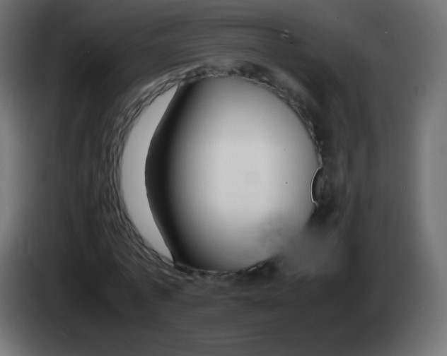 X0000083060773200703022133