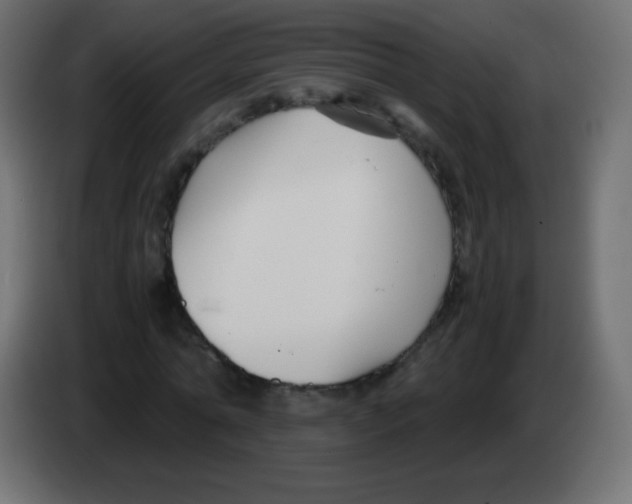 X0000083060774200703022133