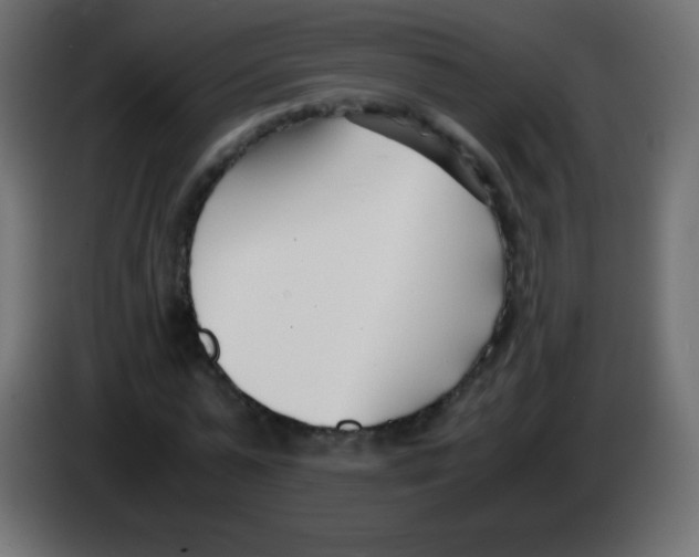 X0000083060775200703022133