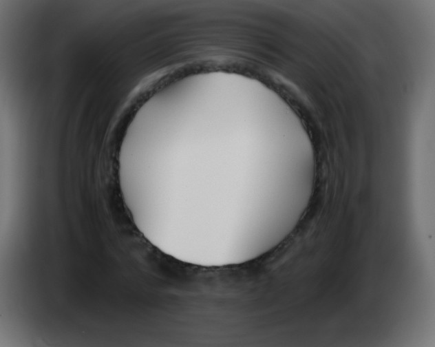 X0000083060776200703022133