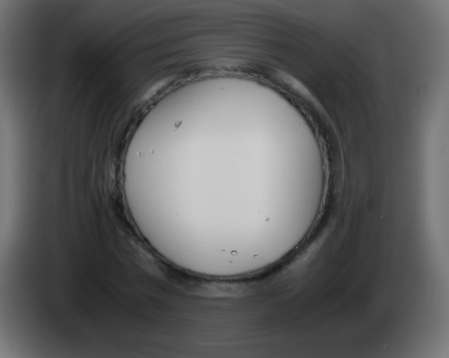 X0000083060777200703022133