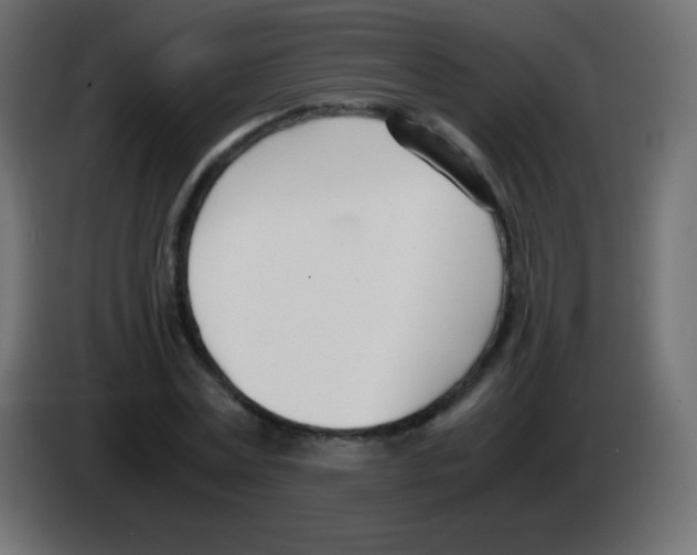 X0000083060779200703022133