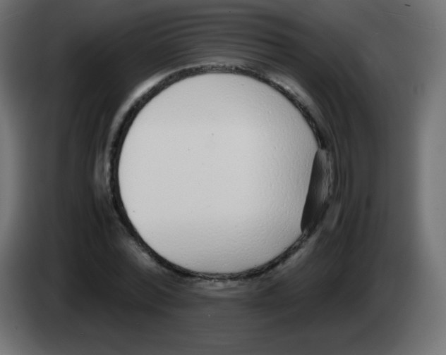 X0000083060780200703022133