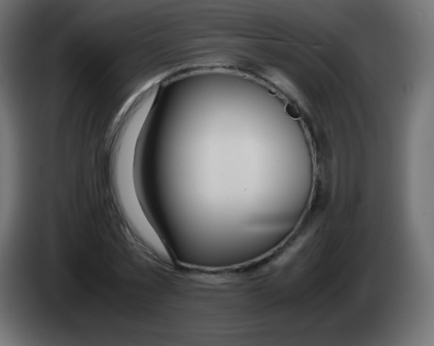 X0000083060781200703022133