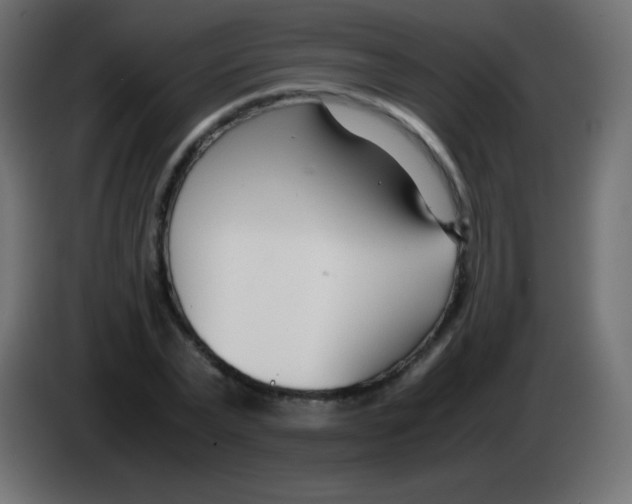 X0000083060783200703022133