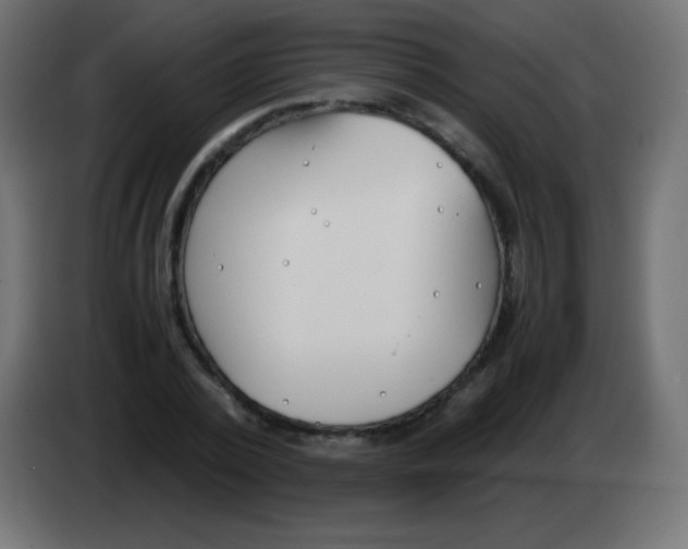 X0000083060784200703022132