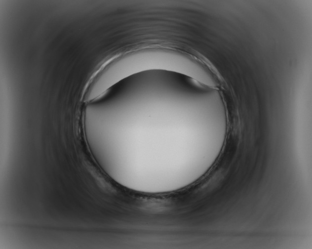 X0000083060786200703022132