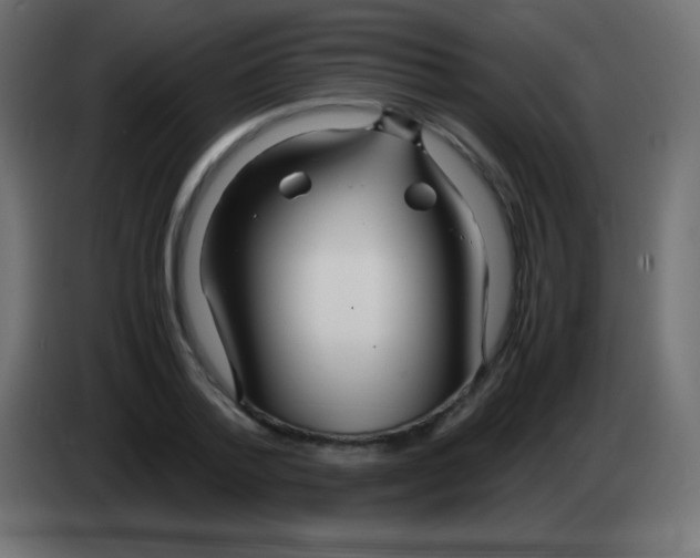 X0000083060788200703022132