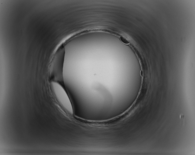 X0000083060789200703022132