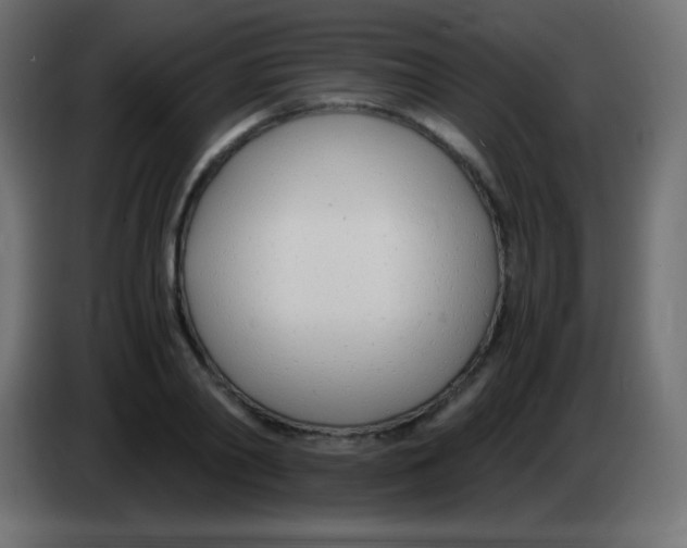 X0000083060790200703022132