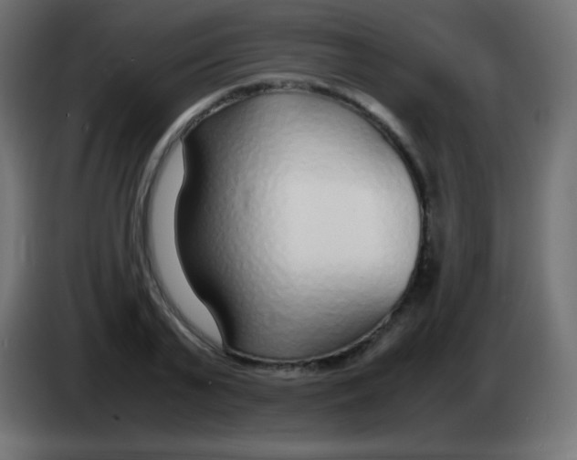 X0000083060791200703022132