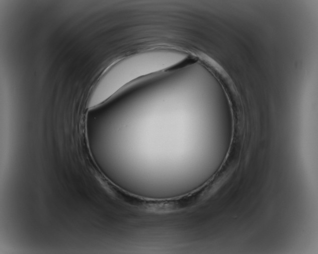 X0000083060793200703022132