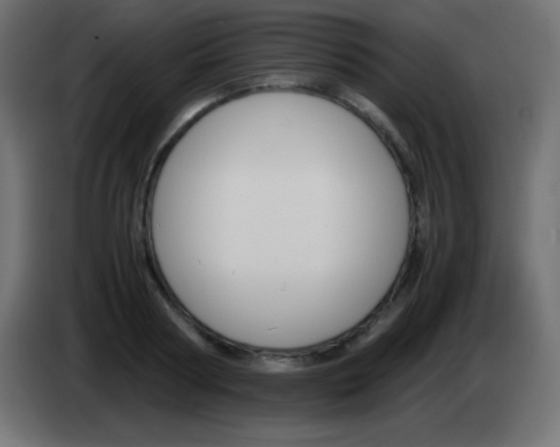 X0000083060794200703022132