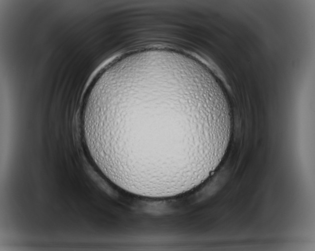 X0000083060798200703022132