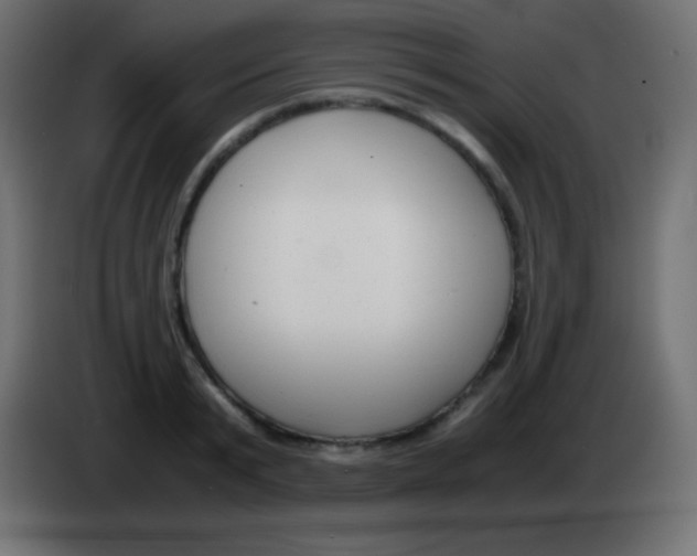 X0000083060799200703022132