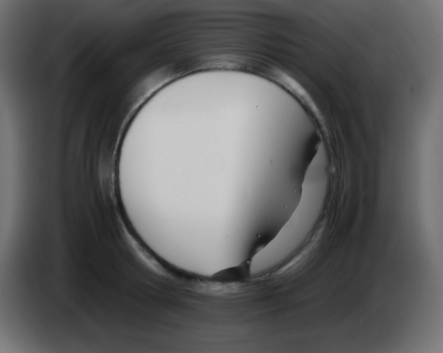 X0000083060802200703022132