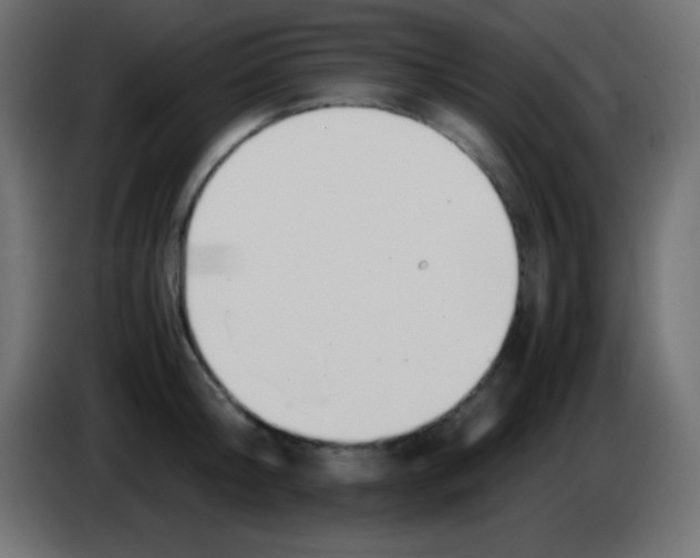 X0000083060804200703022132