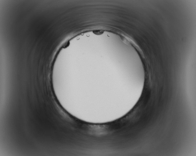 X0000083060805200703022132