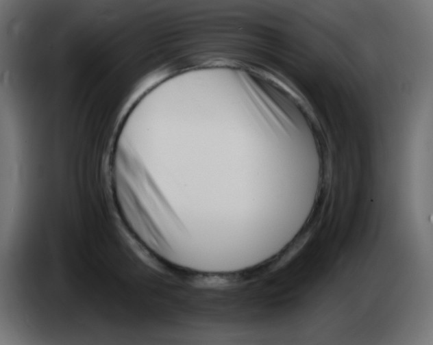 X0000083060806200703022132