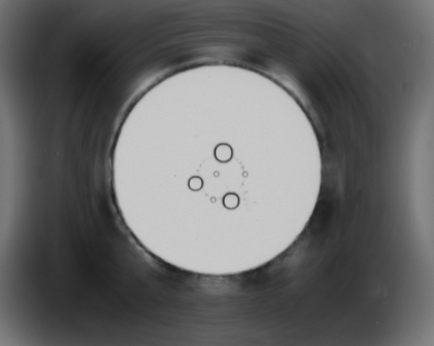 X0000083060807200703022132