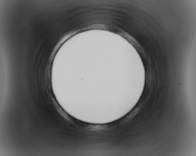 X0000083060808200703022132