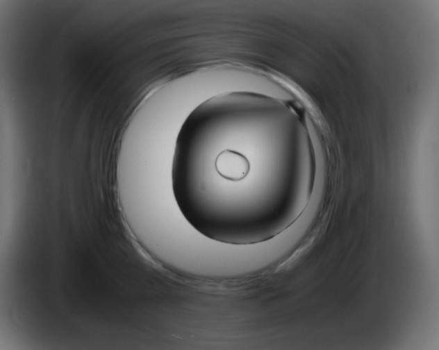 X0000083060809200703022132