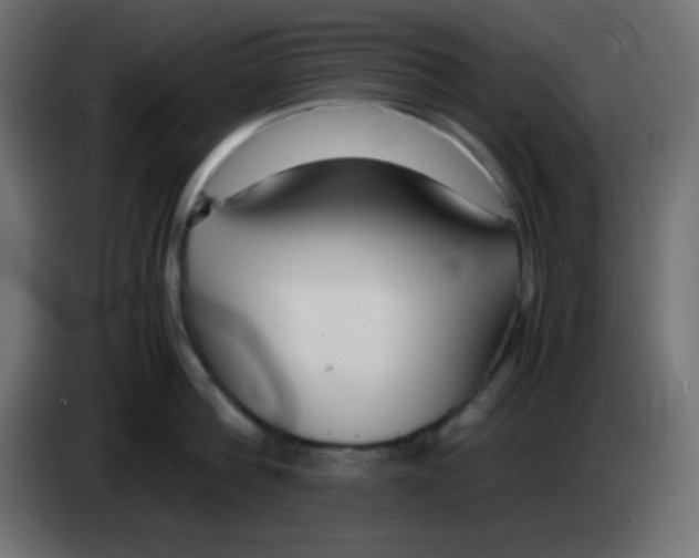 X0000083060812200703022132