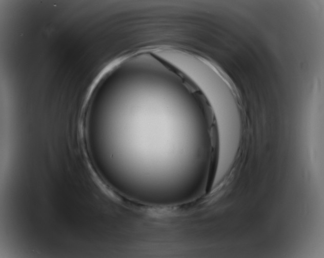 X0000083060813200703022132