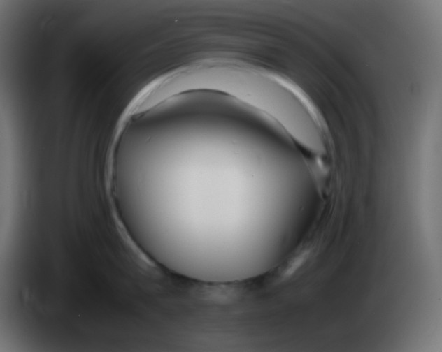 X0000083060815200703022132