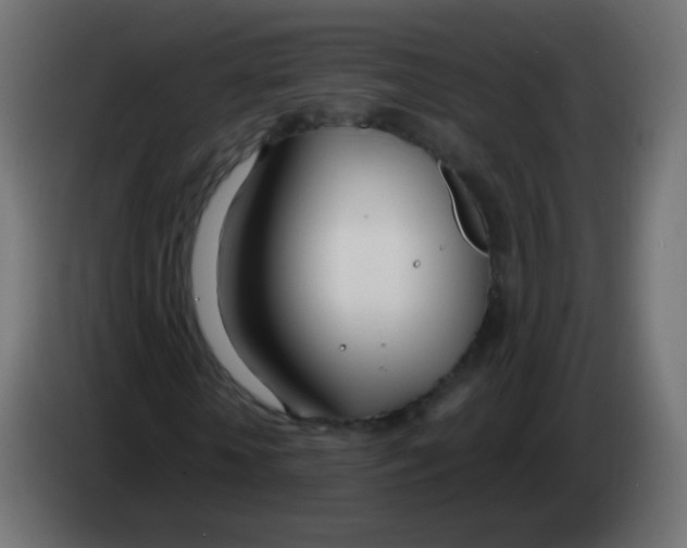 X0000083060818200703022131