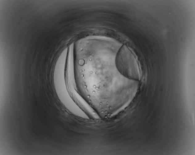 X0000083060819200703022131