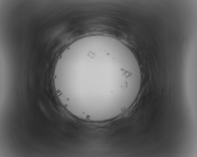 X0000083060820200703022131