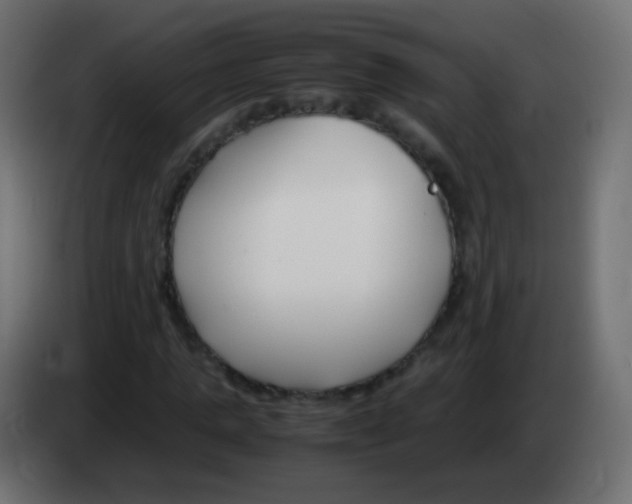 X0000083060821200703022131