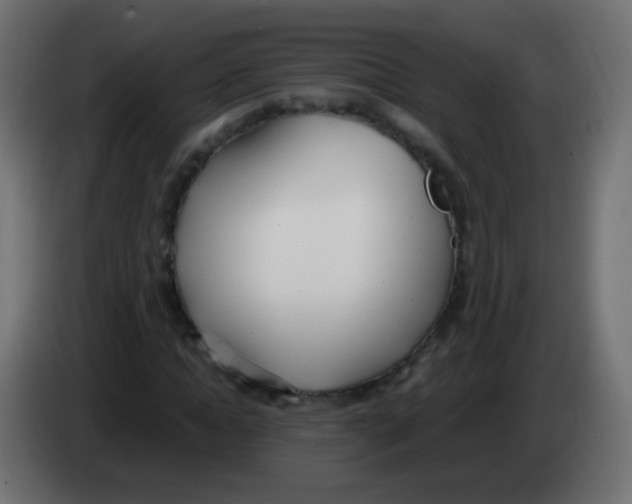 X0000083060822200703022131