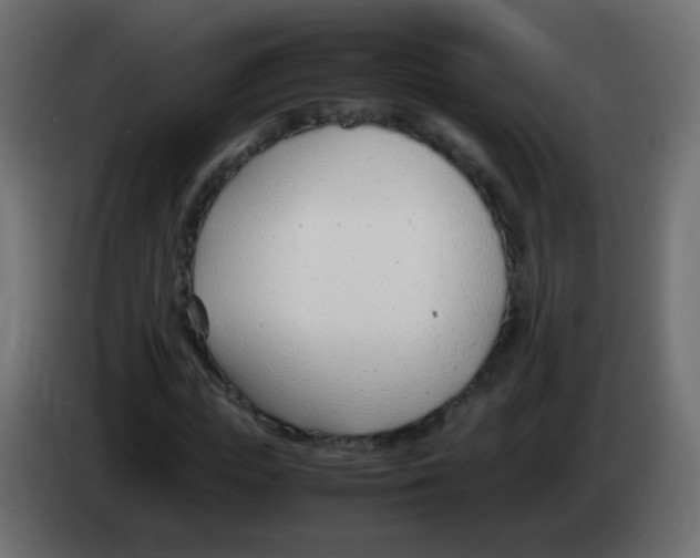 X0000083060823200703022131