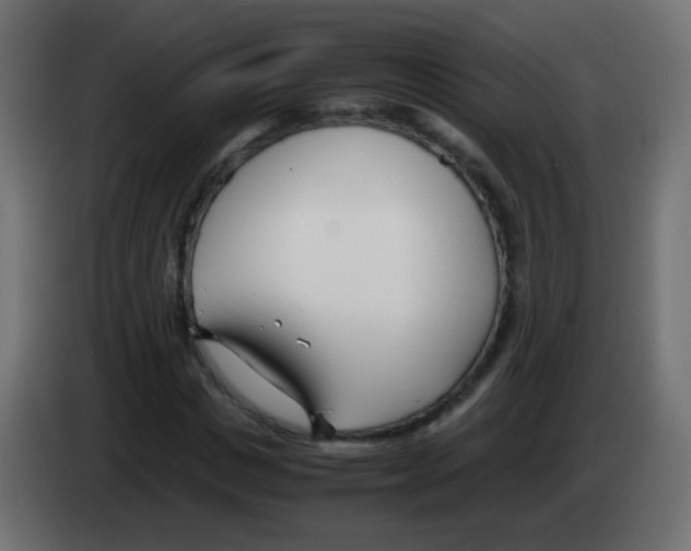 X0000083060825200703022131