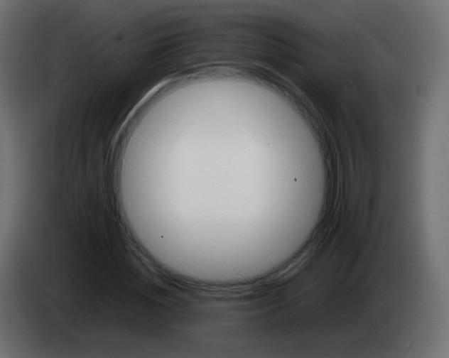 X0000083060828200703022132