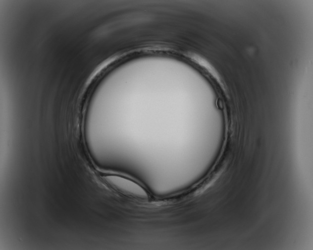 X0000083060829200703022132