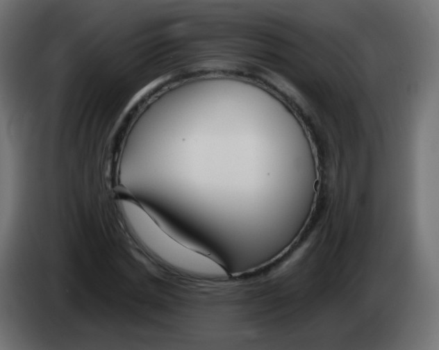 X0000083060830200703022132