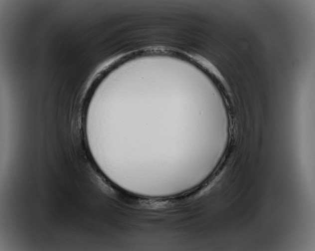 X0000083060831200703022132